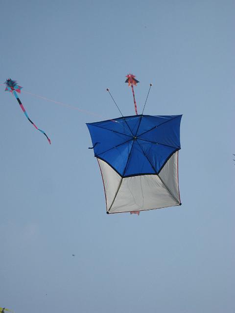 Drachenfest Bergeijk 2009 069.jpg
